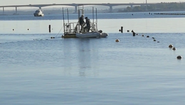 Lezioni di Resilienza da Mar Piccolo
